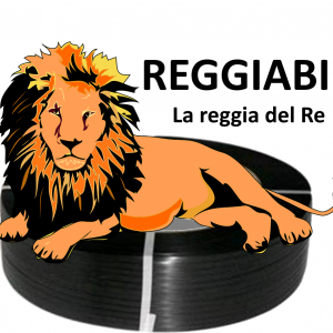 Reggette Torino