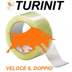 Turinit