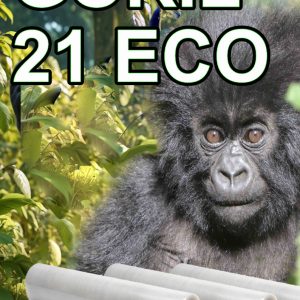 Goril 21 Eco: film estensibile manuale più leggero, efficiente e sostenibile